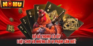 Đá Gà Thomo Là Gì? Luật Chơi Và Những Lỗi Vi Phạm Cần Biết
